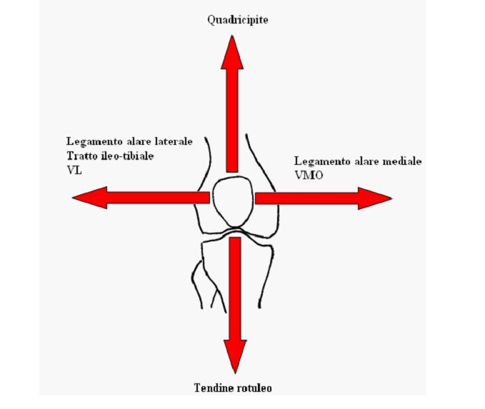 Femoro_rotulea3