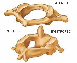 atlanteepi