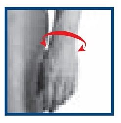 SP 208 Supporto per polso e pollice Ortesi per pollice in Airprene con rinforzo rigido modellabile